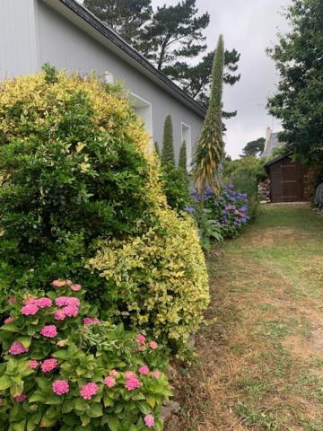 Maison 400M De La Plage Crozon Exterior foto